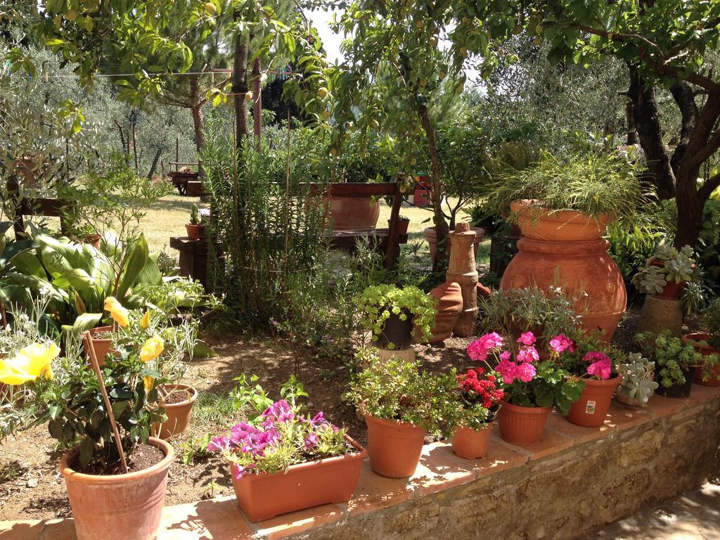Agriturismo Il Viaio Fiesole Kültér fotó